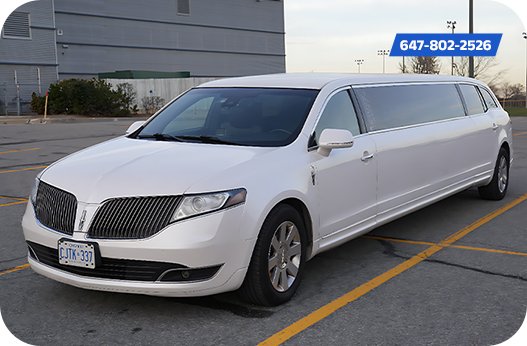 Party Bus Mississauga